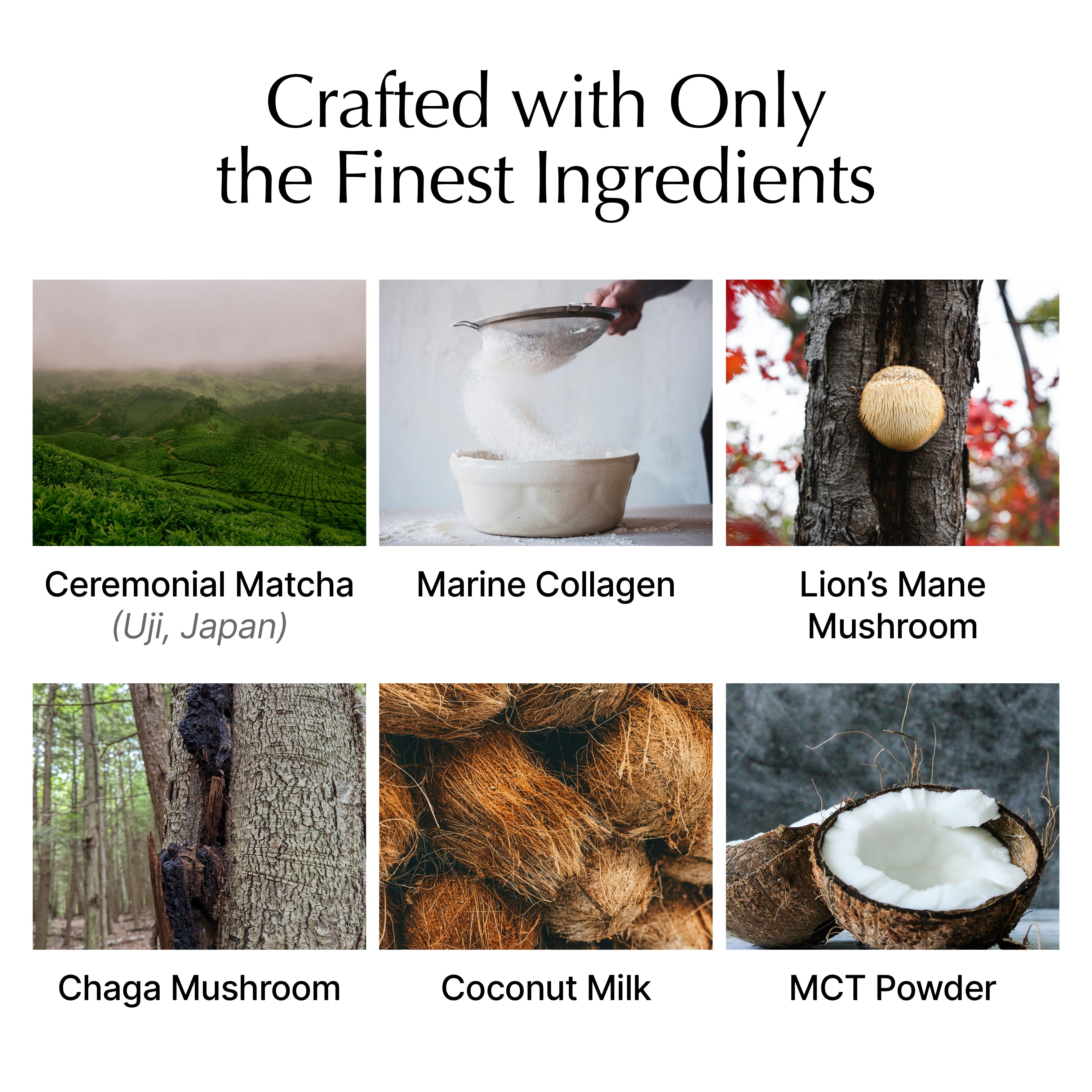 Matcha with Collagen